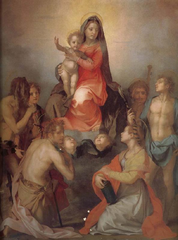Andrea del Sarto The Virgin and Child with Saints Sweden oil painting art